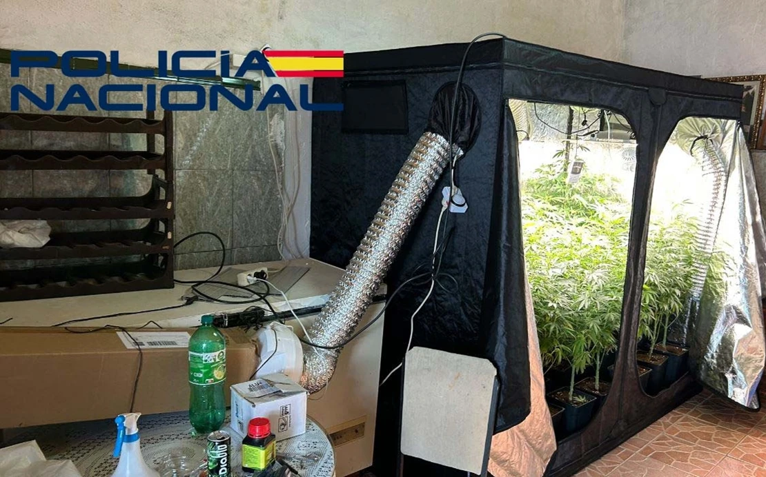 Pillado cultivando y almacenando droga de diseño en el garaje de su madre
