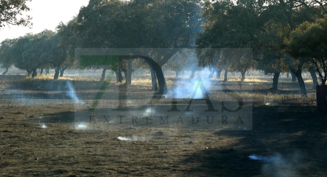 REPOR: Imágenes del incendio forestal en La Roca de la Sierra (BA)