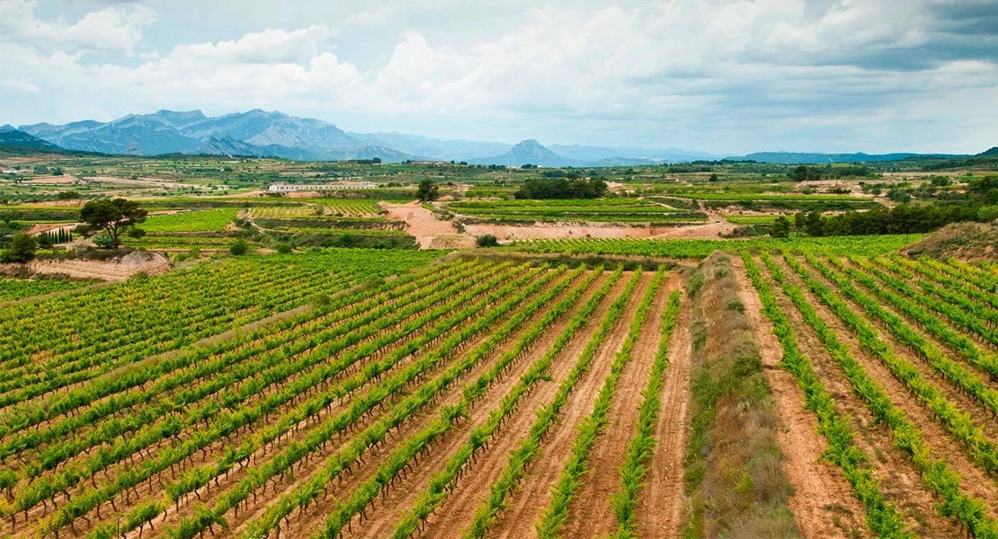 Ecologistas Extremadura no participa en el Consejo Asesor de Medio Ambiente en señal de protesta