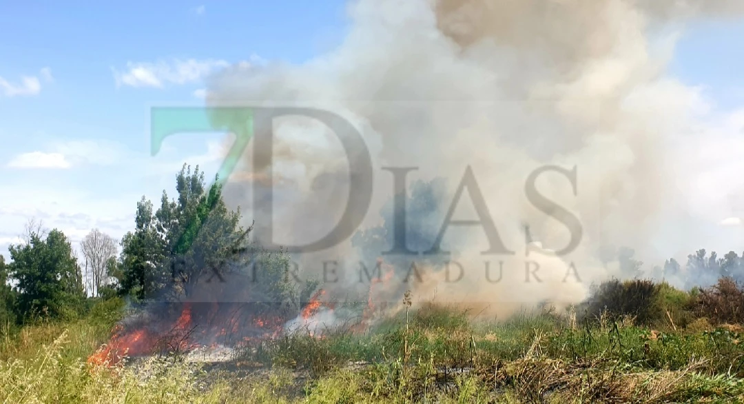 Impresionante columna de humo en Badajoz por un incendio en la ribera de Balboa