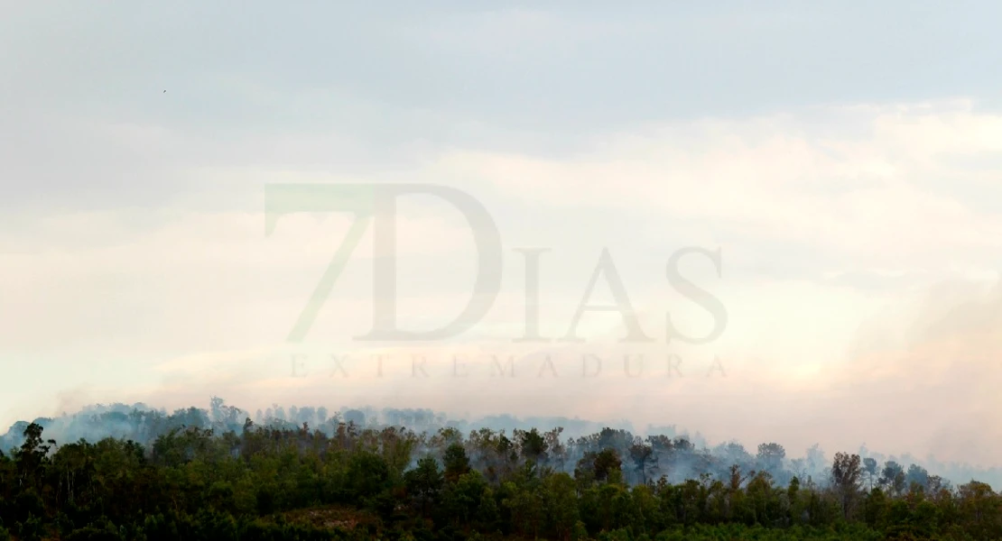 Un gran incendio devasta parte de la Sierra de San Pedro