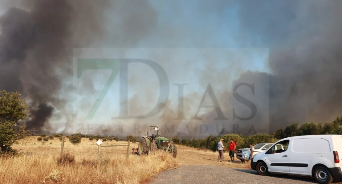 Imágenes del incendio forestal en Portugal