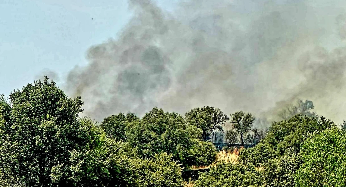 Activan el nivel 1 de peligrosidad en un incendio forestal en Madroñera (CC)