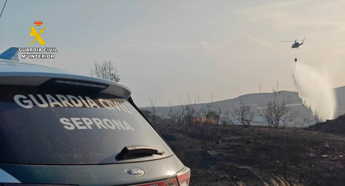 Detienen a una persona que intentaba provocar un incendio forestal en Extremadura