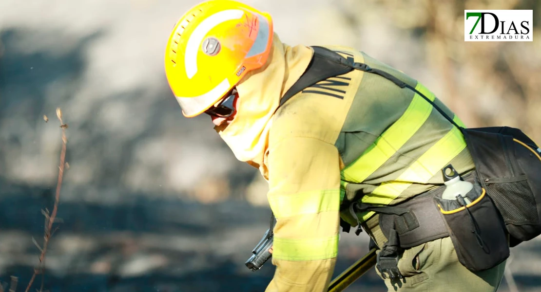 Imágenes de los bomberos en el incendio de Tres Arroyos