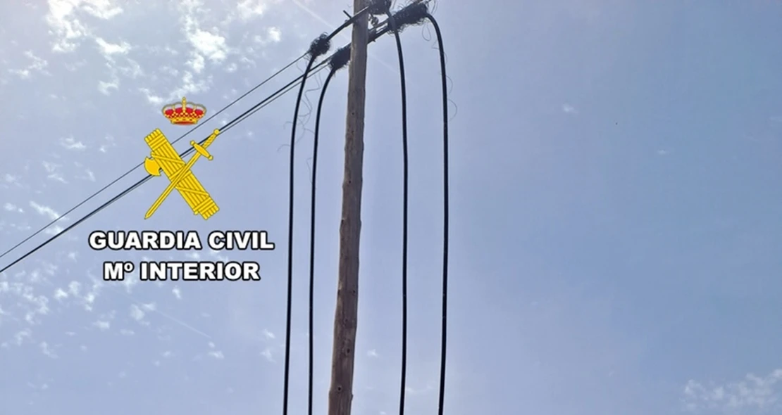 Detenidos por robar ganado y más de 8.000 metros de cable de líneas telefónicas