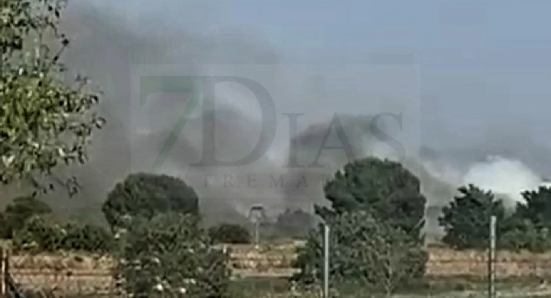 Bomberos y vecinos unen fuerzas durante horas en un incendio junto a la EX-107 (BA)