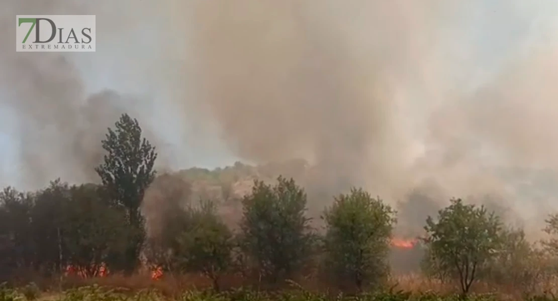 Un incendio de gran magnitud arrasa zonas forestales en Fuente del Maestre