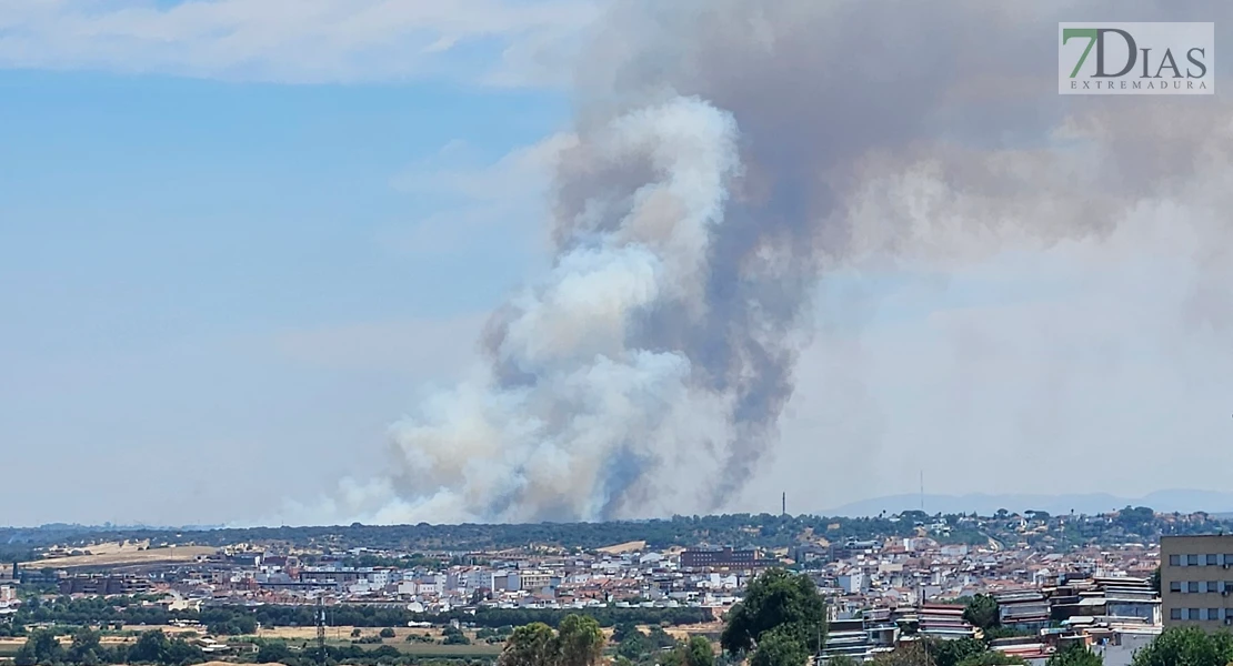 Activo un segundo incendio en menos de 24 horas en Tres Arroyos (BA)