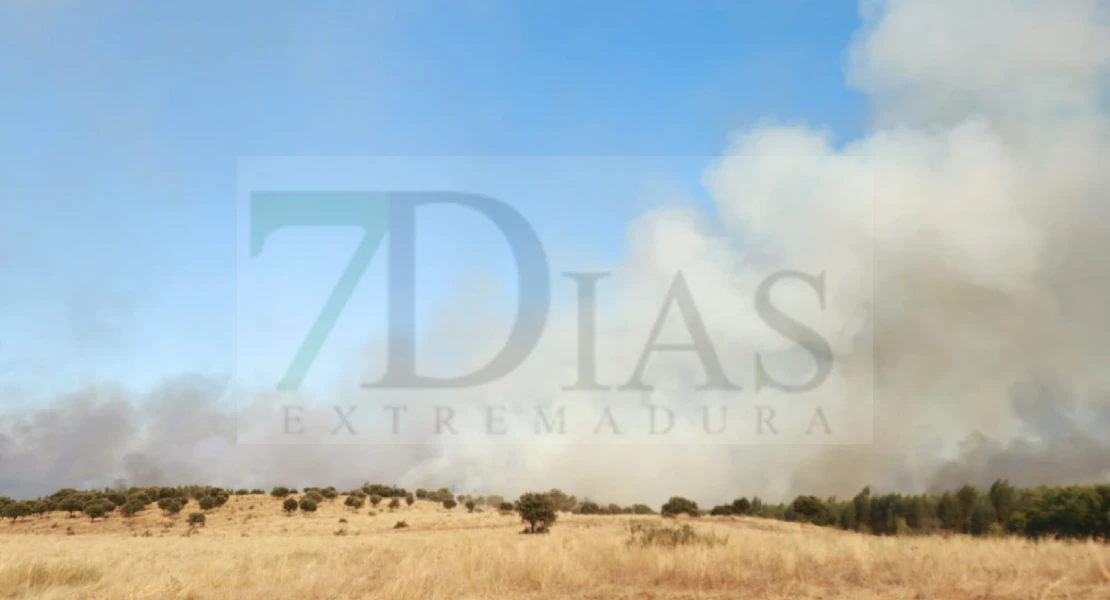 Imágenes del incendio forestal en Portugal