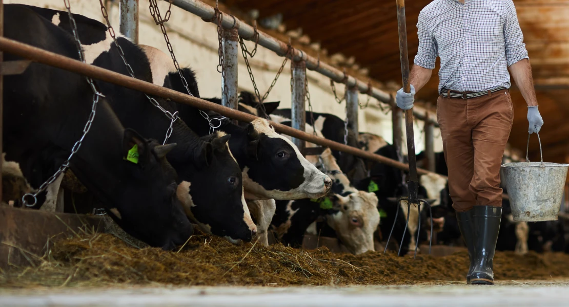 UPA denuncia que España paga la leche más barata a sus ganaderos pese a ser deficitaria