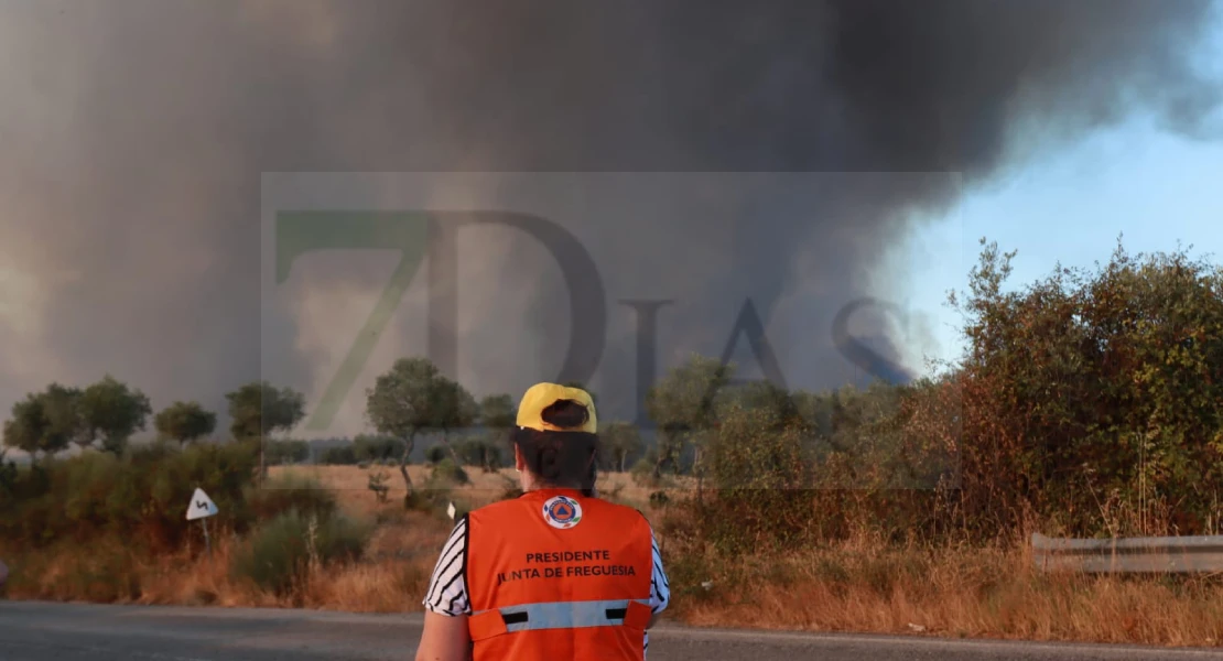 Imágenes del incendio forestal en Portugal