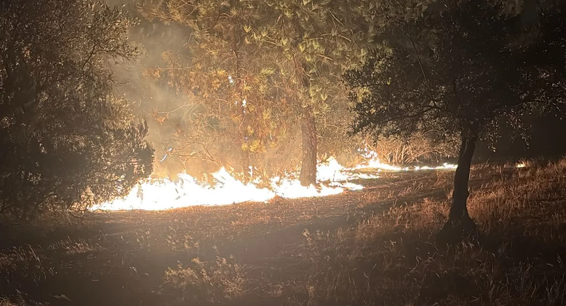 Ya ha pasado lo peor en el incendio de Valdecaballeros: ¿ha sido intencionado?