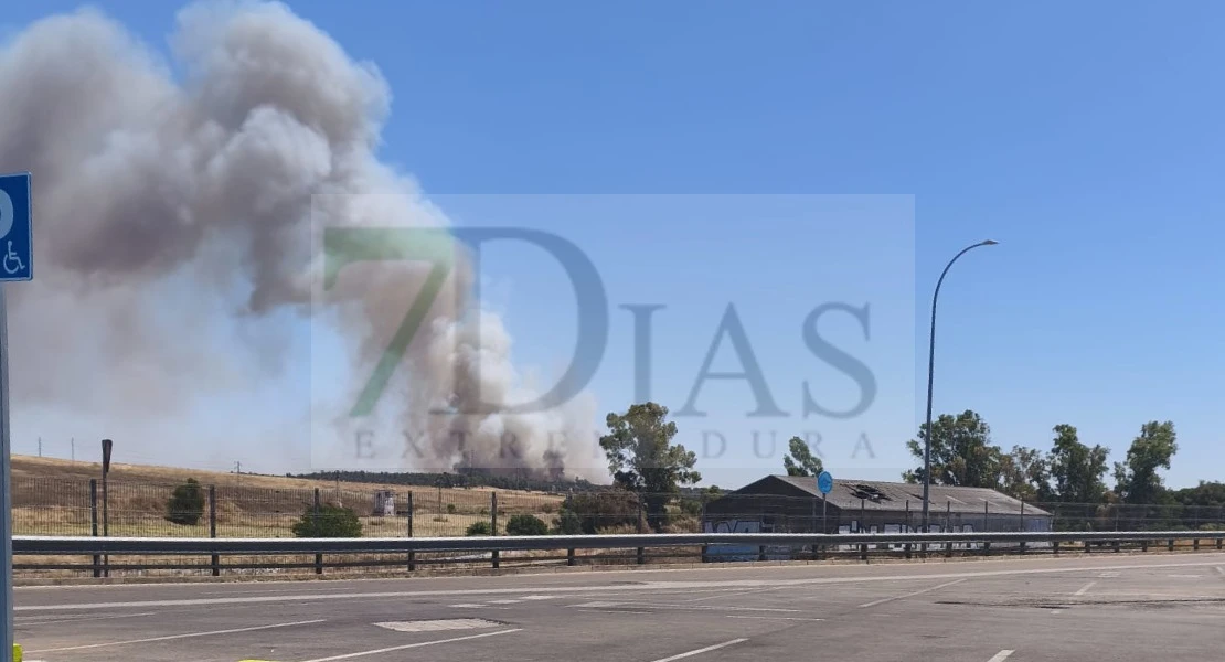 Activan el nivel 1 del Plan Infoex en un incendio en Badajoz