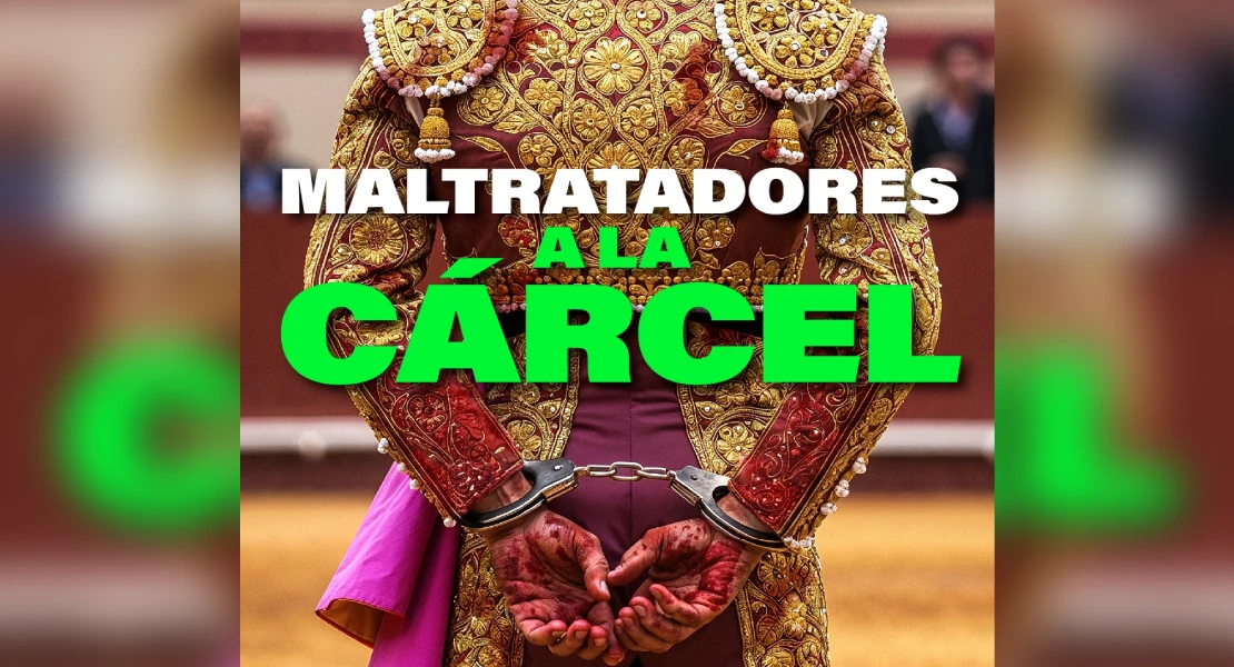 PACMA pide penas de cárcel para los casos de maltrato animal: "Si lo haces, eres un peligro social"