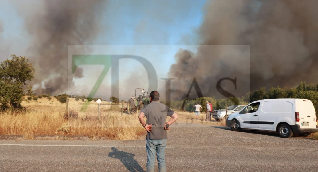 Imágenes del incendio forestal en Portugal