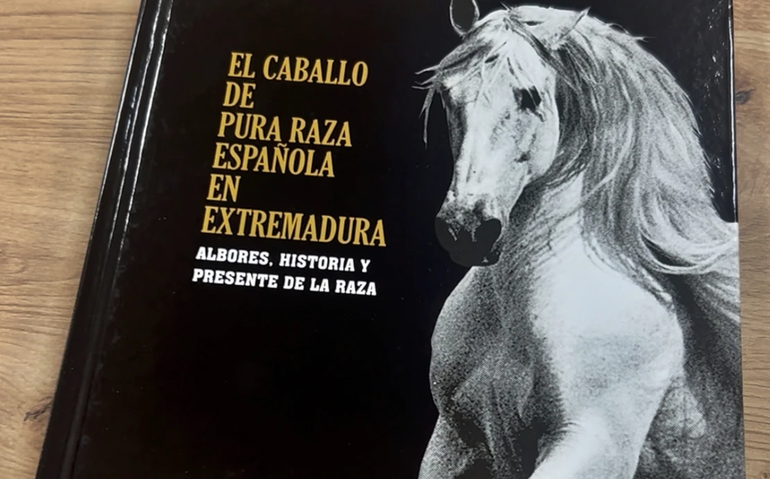 Destacan la excelencia del caballo de Pura Raza Española: “Esencia de la identidad extremeña”