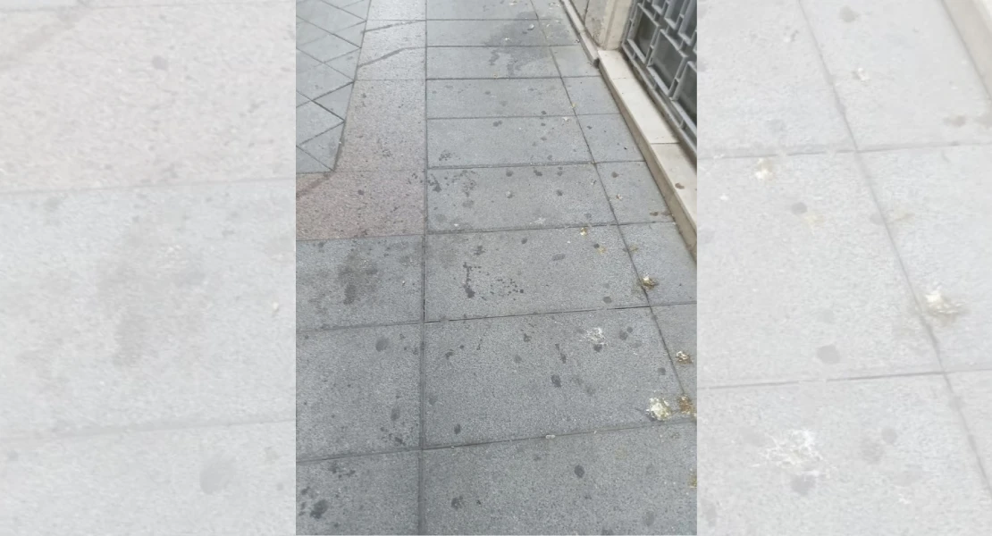 Críticas por el mal estado de las calles de Mérida: “Así no se puede ser referencia turística”