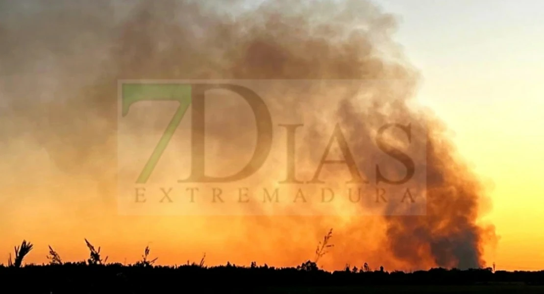 Arde una finca agrícola entre Valdebotoa y Badajoz