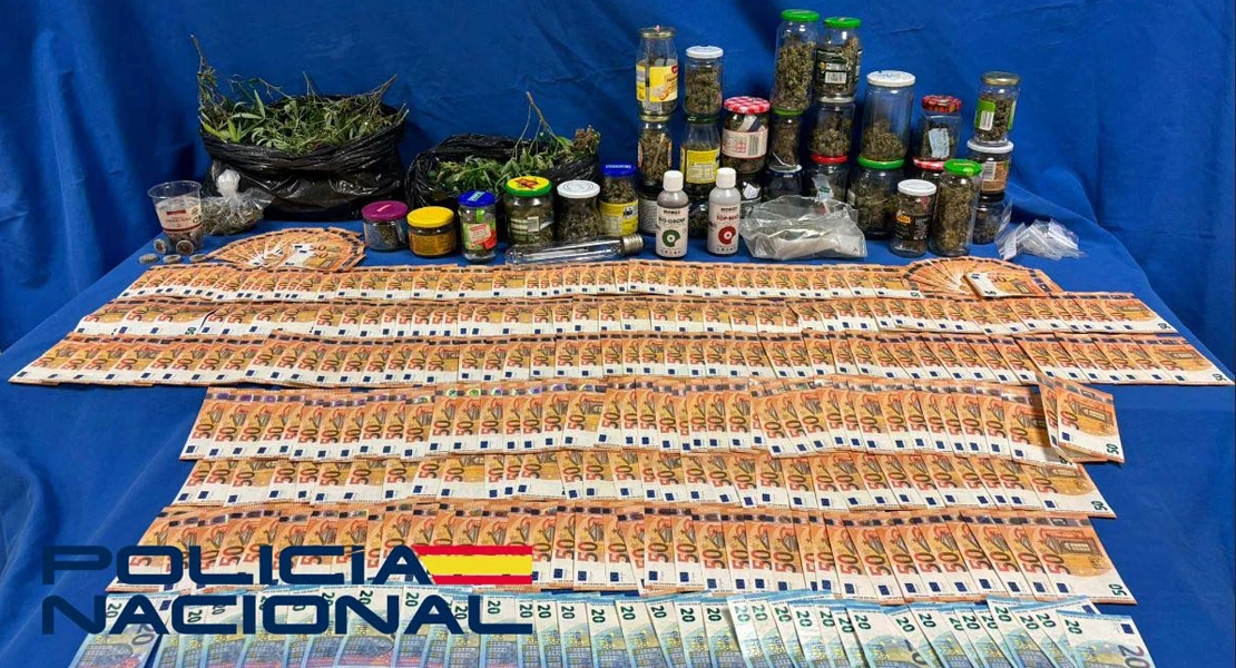 Las quejas de los vecinos llevan a la Policía hasta una plantación de marihuana en Mérida