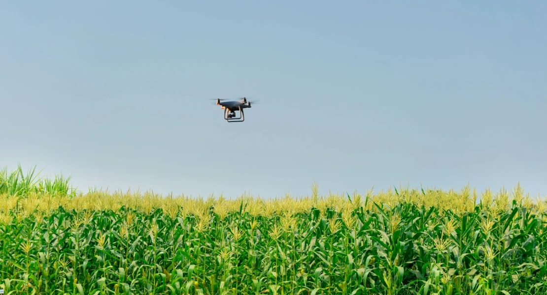 Drones en la agricultura: una nueva era para el seguimiento de cultivos