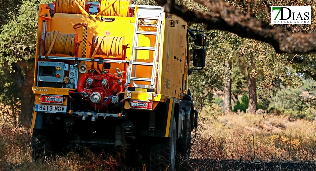Imágenes de los bomberos en el incendio de Tres Arroyos