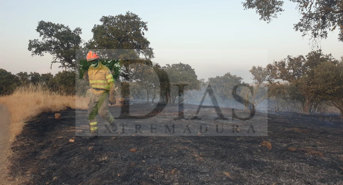 Un incendio calcina más de 20 hectáreas de gran valor ecológico en Extremadura