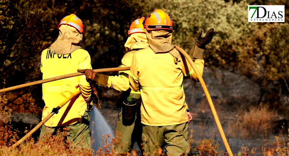 Imágenes de los bomberos en el incendio de Tres Arroyos