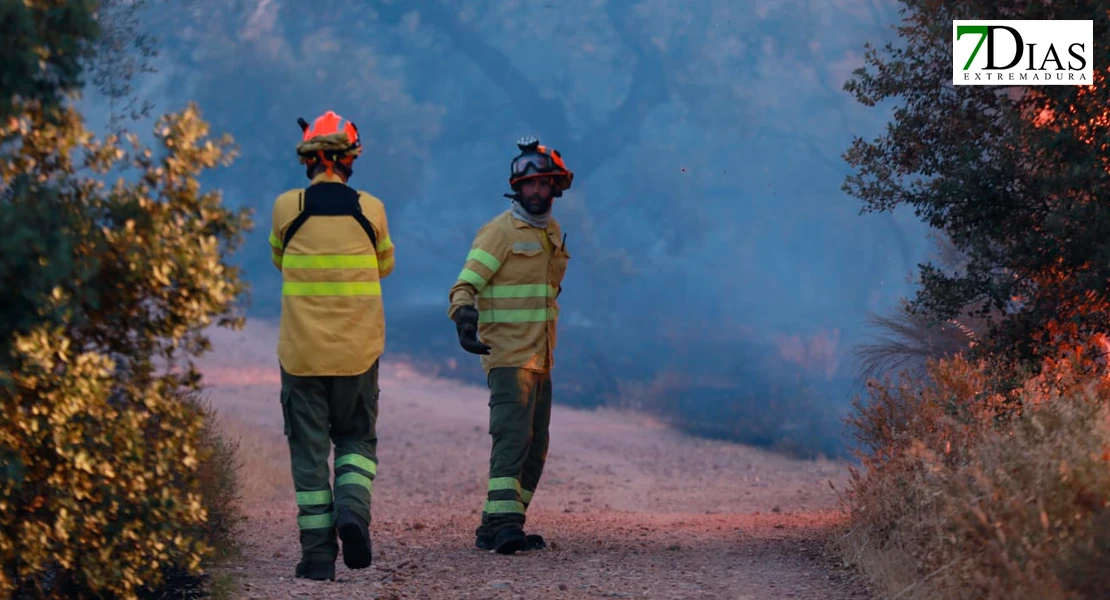 Bomberos del Infoex extinguiendo las llamas del incendio de Tres Arroyos