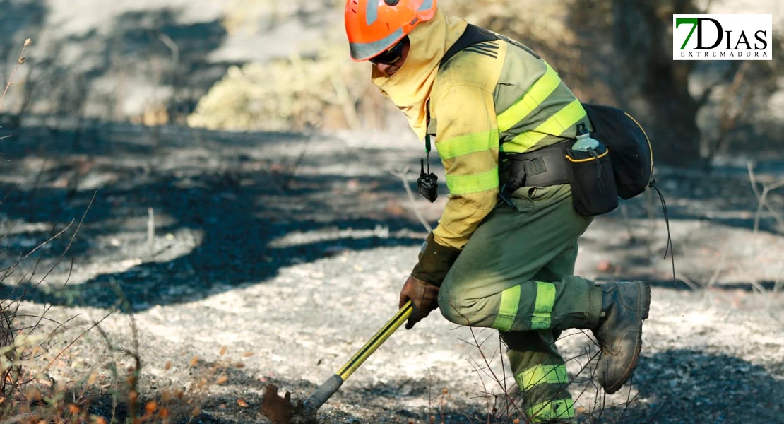 Imágenes de los bomberos en el incendio de Tres Arroyos