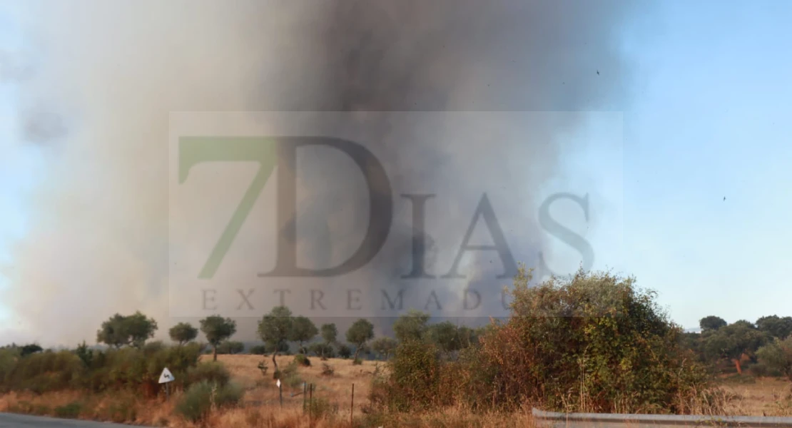 Imágenes del incendio forestal en Portugal