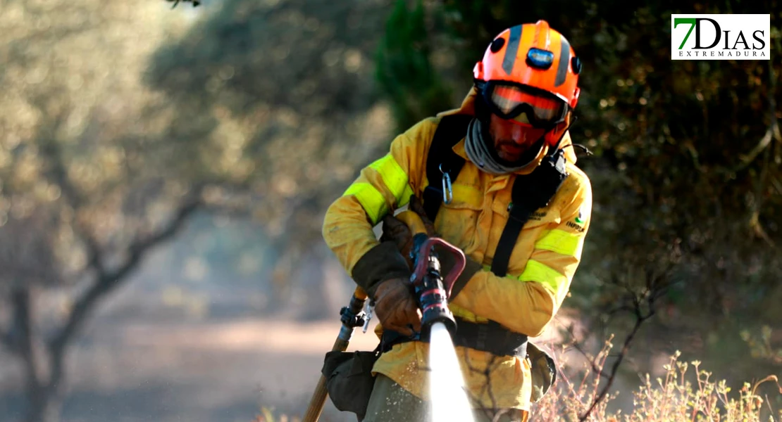 Nueve incendios en una semana: se busca a un posible pirómano en Badajoz