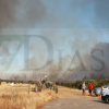 Imágenes del incendio forestal en Portugal