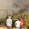 Imágenes del incendio forestal en Portugal
