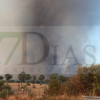 Imágenes del incendio forestal en Portugal