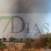 Imágenes del incendio forestal en Portugal
