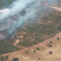 El calor dispara los incendios en Extremadura: el INFOEX ha declarado Nivel 1 en 6 fuegos