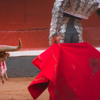 Denuncian el "interés de la Junta por patrocinar el acceso de menores a espectáculos taurinos"