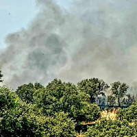 Activan el nivel 1 de peligrosidad en un incendio forestal en Madroñera (CC)