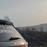 Detienen a una persona que intentaba provocar un incendio forestal en Extremadura