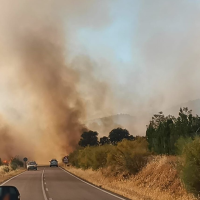 Declarado el nivel 1 de peligrosidad por un incendio forestal en Valle de la Serena (BA)