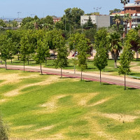 El parque el río comienza a secarse y el PSOE tiende la mano al Ayuntamiento