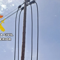 Detenidos por robar ganado y más de 8.000 metros de cable de líneas telefónicas