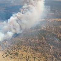 El Infoex desactiva un incendio en Badajoz y combate otro con 8 medios aéreos