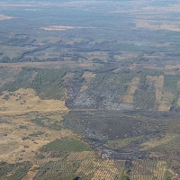 Mantienen la Situación Operativa 1 del Plan INFOCAEX en Valdecaballeros