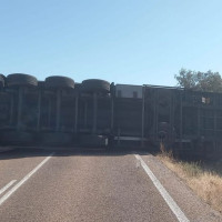 Un camión vuelca en la EX-303 y deja un herido