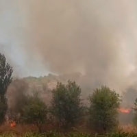 Un incendio de gran magnitud arrasa zonas forestales en Fuente del Maestre