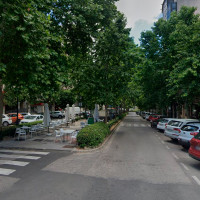 La alta posibilidad de tala de árboles preocupa a los cacereños