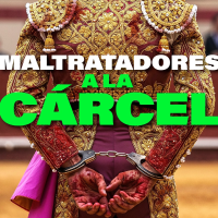 PACMA pide penas de cárcel para los casos de maltrato animal: "Si lo haces, eres un peligro social"