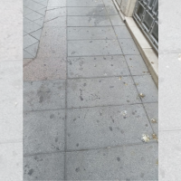 Críticas por el mal estado de las calles de Mérida: “Así no se puede ser referencia turística”